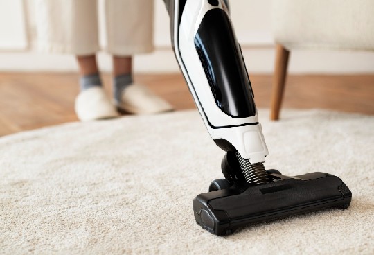 Choose the professional among the professional Carpet Cleaning