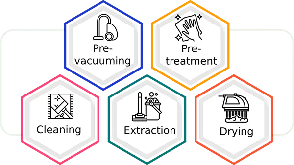 Choose the professional among the professional Carpet Cleaning